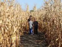 Photos at Corn Maze Sioux Falls SD