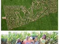 Photos at Corn Maze Sioux Falls SD